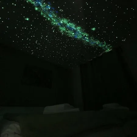 Zauneidechse Im Sternenpark * Lochow