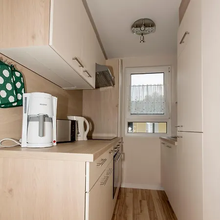 Zauneidechse Im Sternenpark *