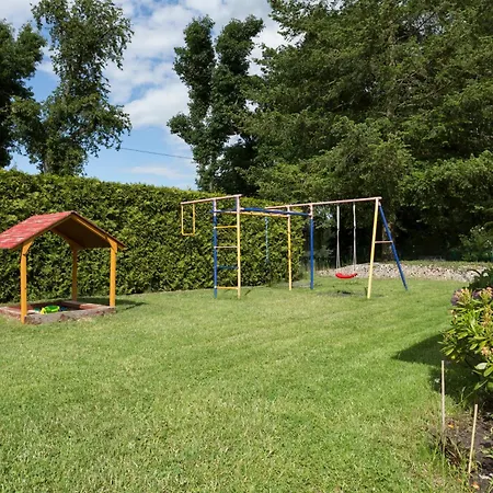 Zauneidechse Im Sternenpark Lochow