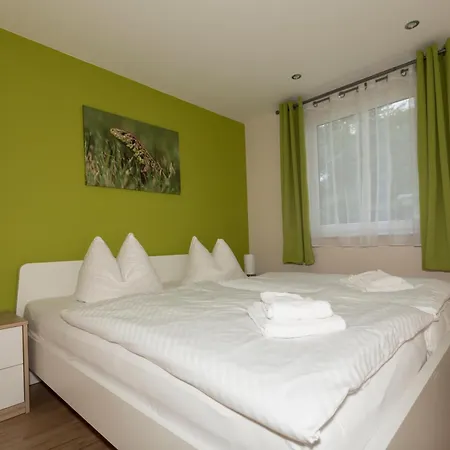 Zauneidechse Im Sternenpark * Lochow