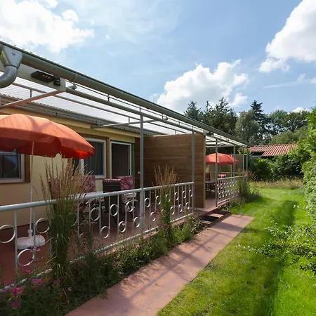 Zauneidechse Im Sternenpark Appartamento Lochow