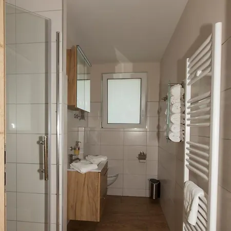 Zauneidechse Im Sternenpark * Lochow