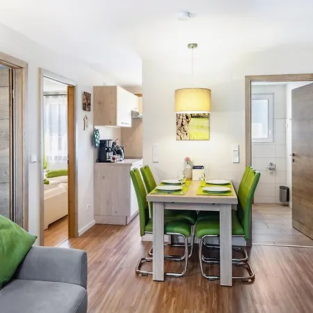 Zauneidechse Im Sternenpark Lochow