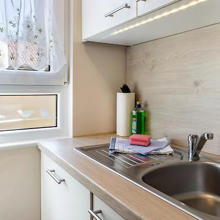 Zauneidechse Im Sternenpark