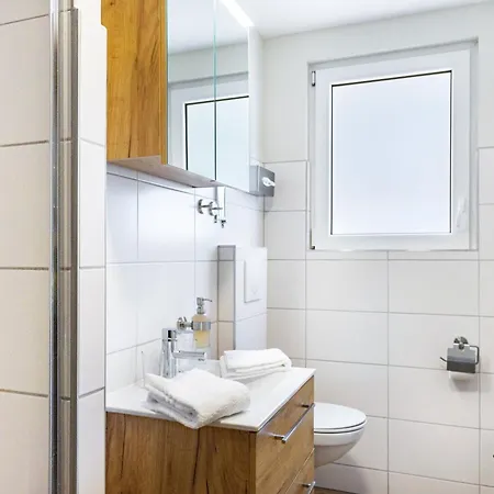 Zauneidechse Im Sternenpark Lochow