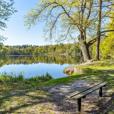 Zauneidechse Im Sternenpark Διαμέρισμα *
