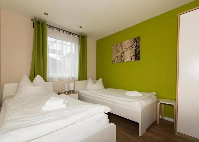 Zauneidechse Im Sternenpark Daire *