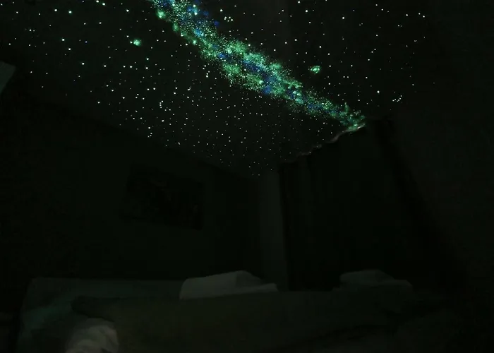 Zauneidechse Im Sternenpark * Lochow