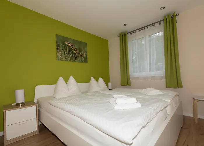 Zauneidechse Im Sternenpark * Lochow