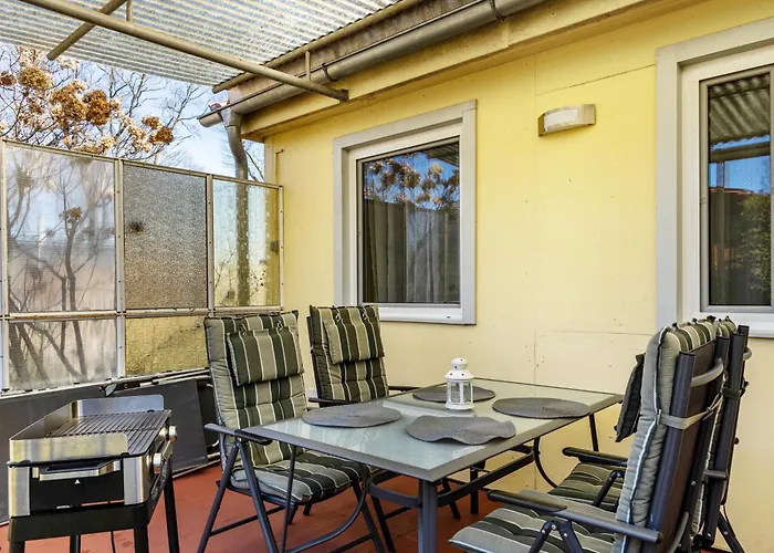 Daire Zauneidechse Im Sternenpark Lochow