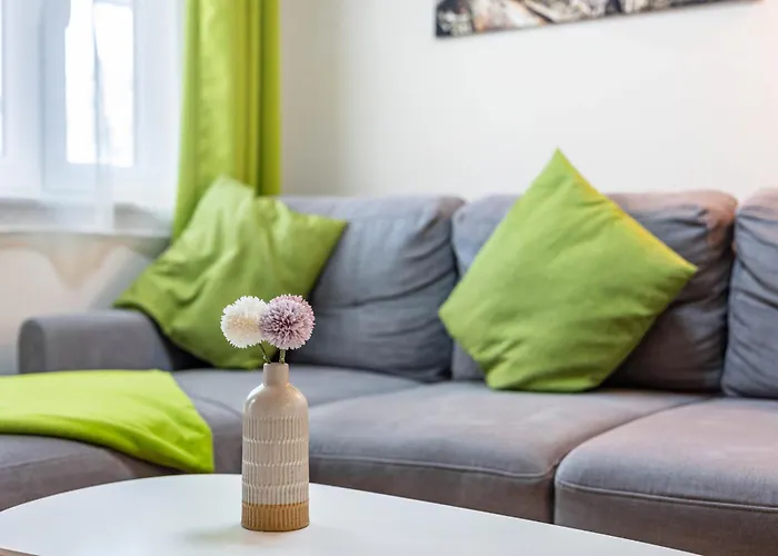 Zauneidechse Im Sternenpark Daire Lochow