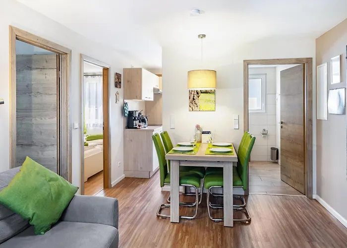 Zauneidechse Im Sternenpark Lochow