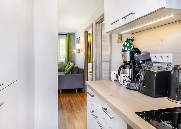 Zauneidechse Im Sternenpark Daire *