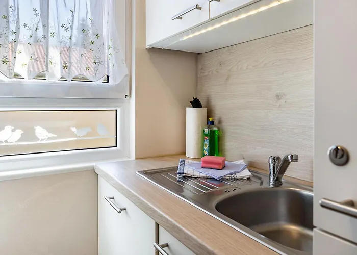 Zauneidechse Im Sternenpark