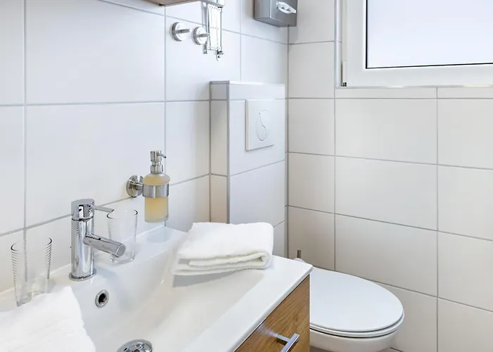 Daire Zauneidechse Im Sternenpark Lochow