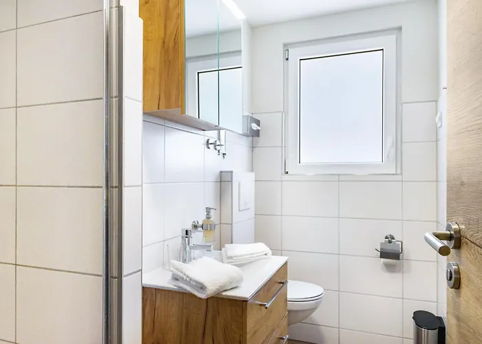 Zauneidechse Im Sternenpark Lochow